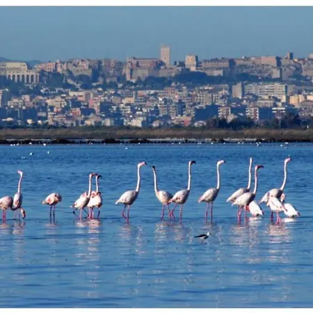 Casa Andrea A 1,5 Km Dal Mare! * Куарту-Сант'Элена